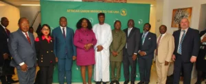 Climate change leaders in Africa