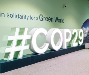 COP29