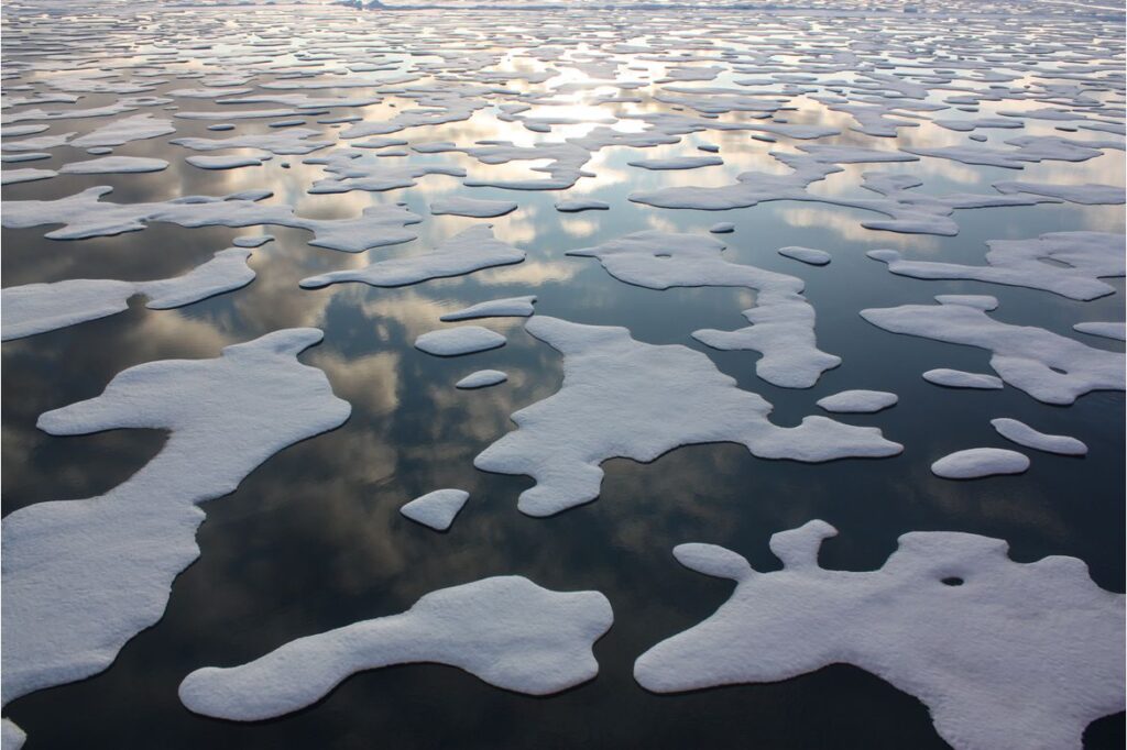 Arctic sea ice